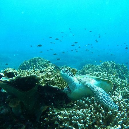 4 Sisters Divers Bunaken Exteriör bild