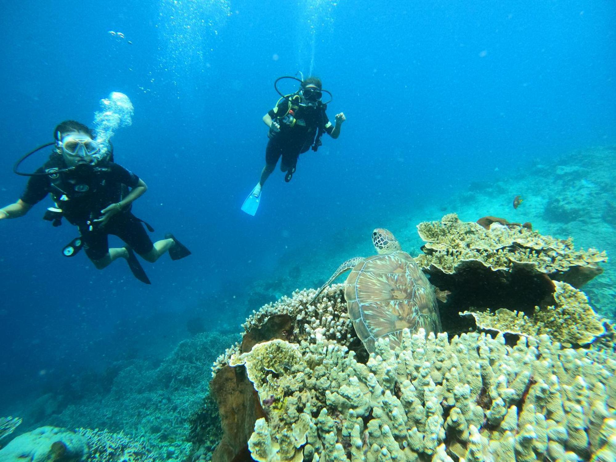4 Sisters Divers Bunaken Exteriör bild