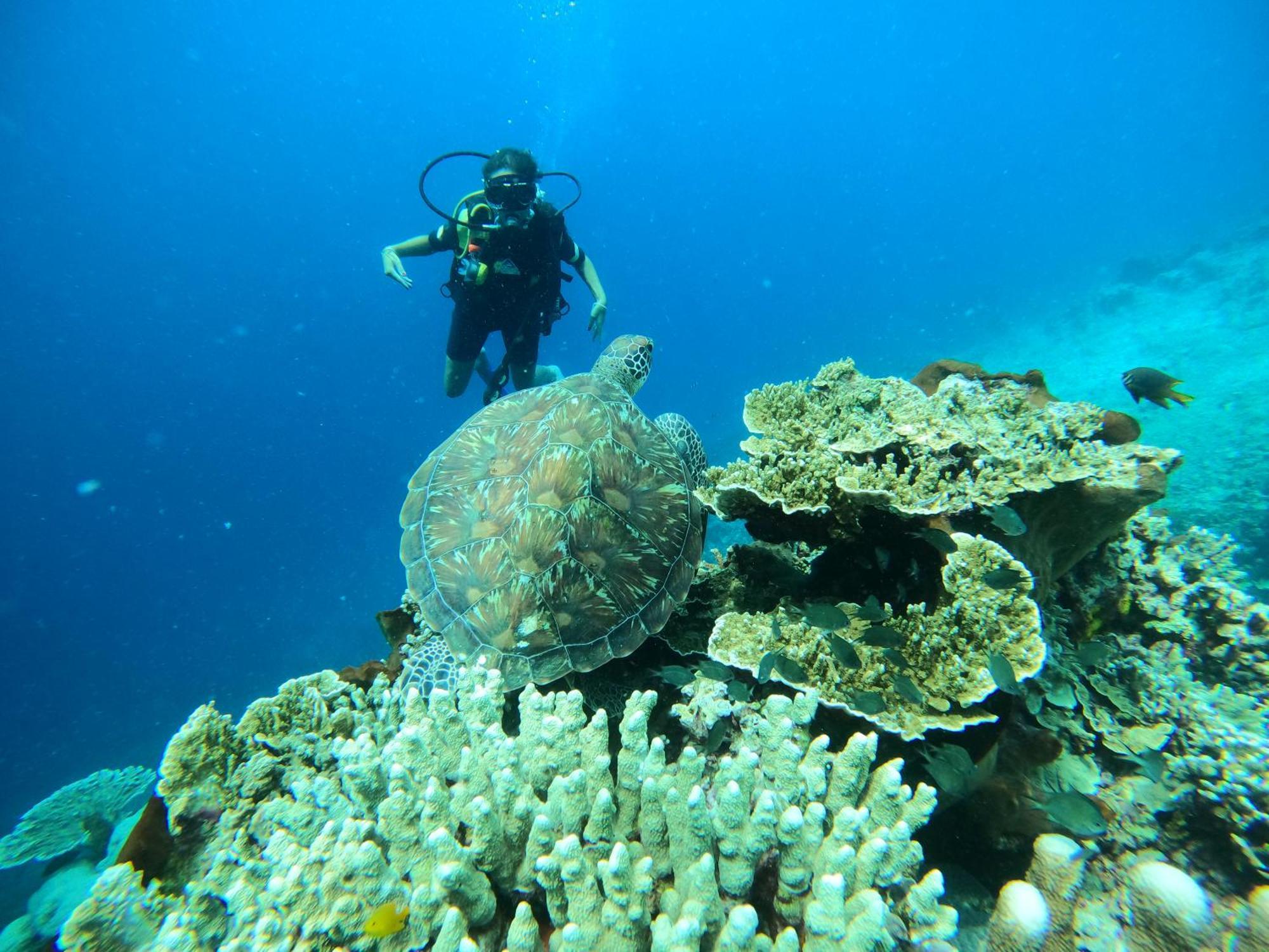 4 Sisters Divers Bunaken Exteriör bild