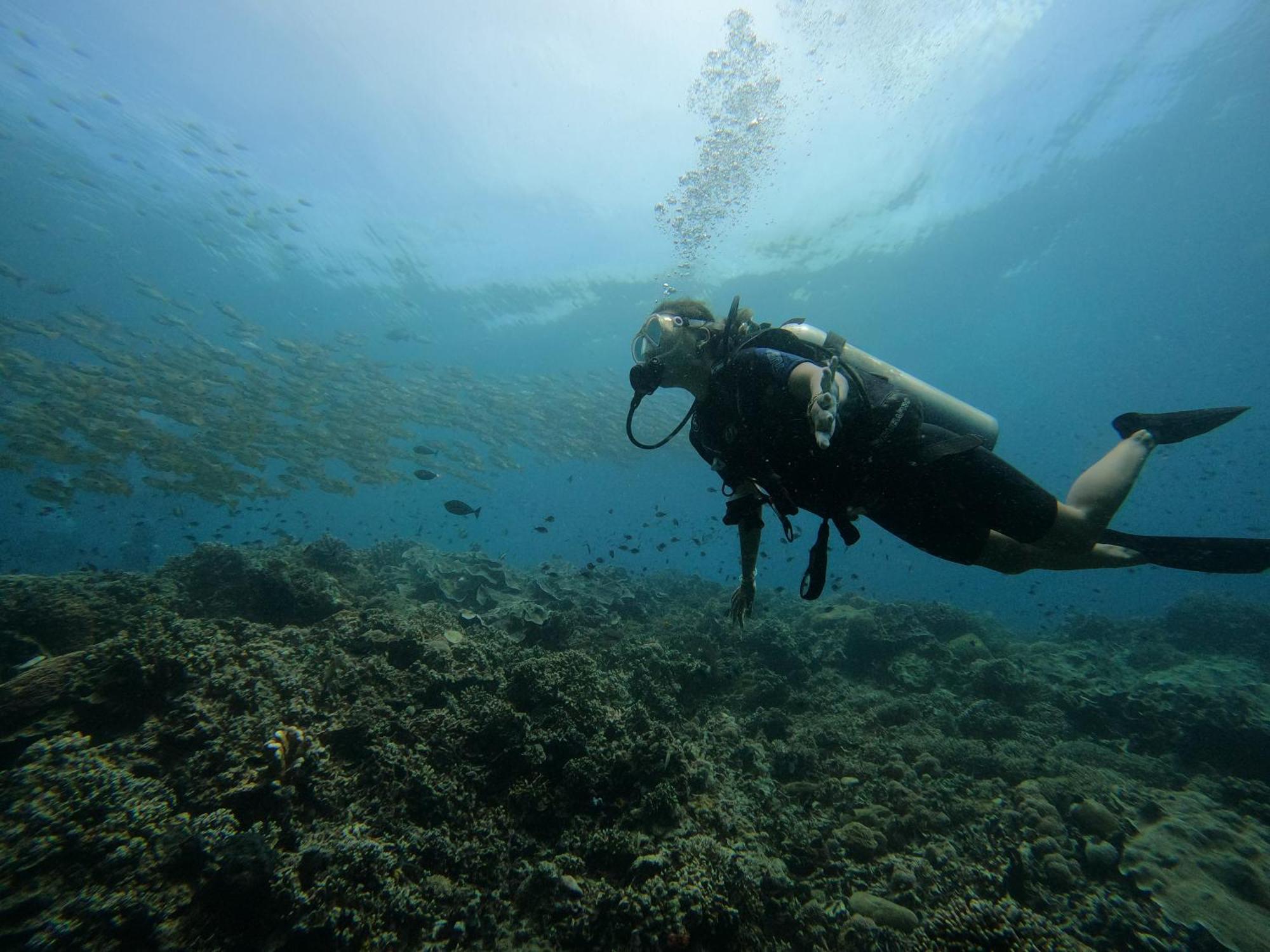 4 Sisters Divers Bunaken Exteriör bild