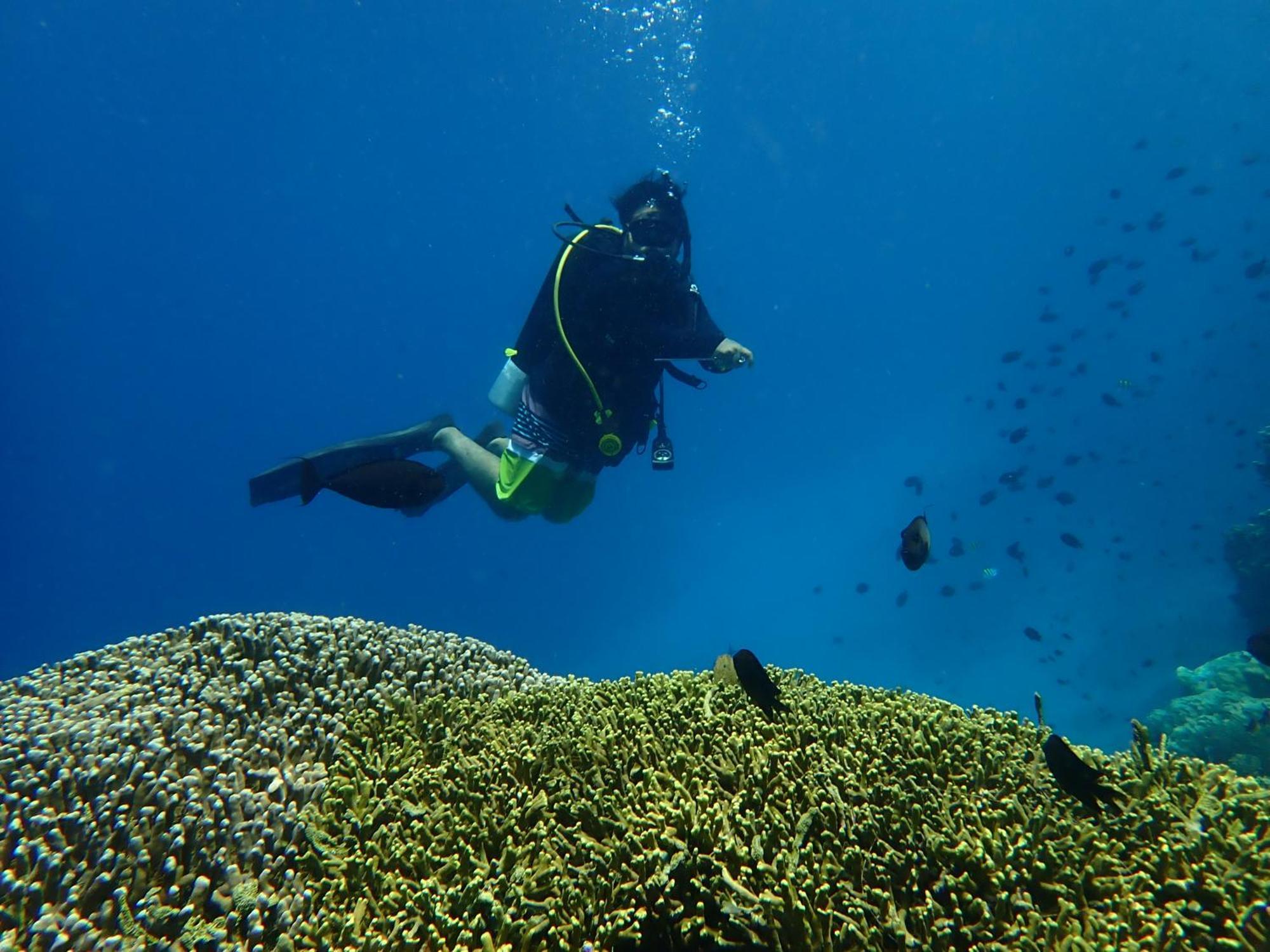4 Sisters Divers Bunaken Exteriör bild
